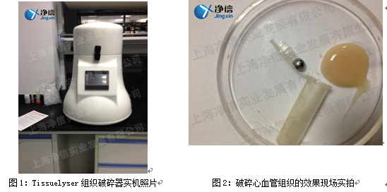 第二军医大实验案例