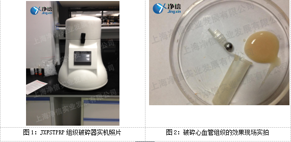 第二军医大