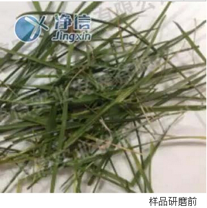 植物样品1